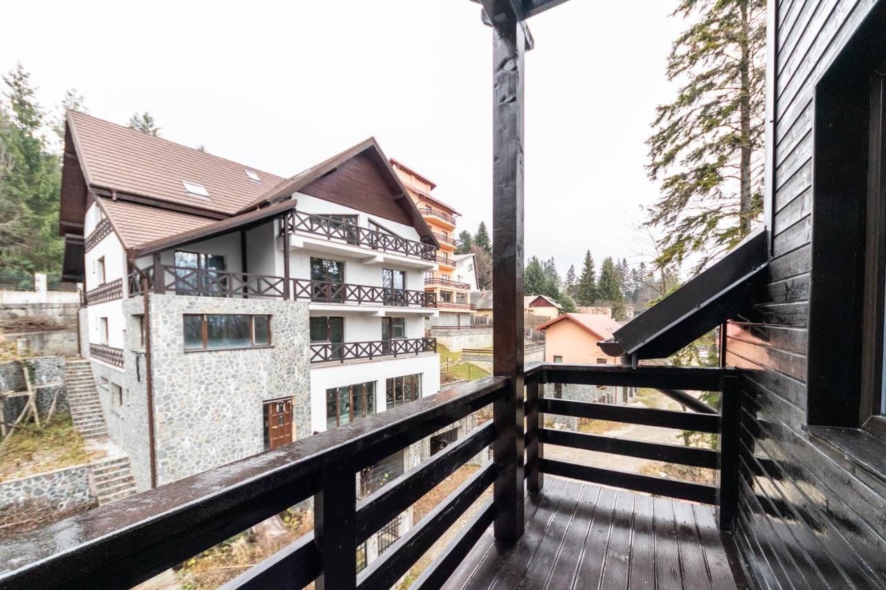 Master Sinaia